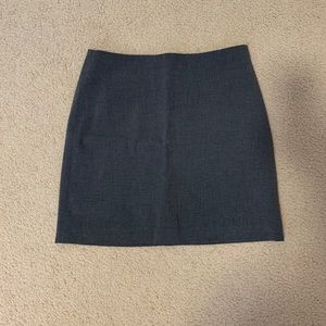 NEW Express Skirt